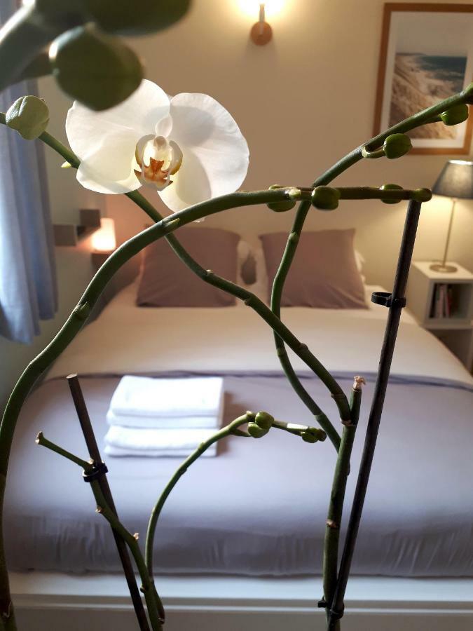 Apartament Le Coquet Saint-Omer  Zewnętrze zdjęcie